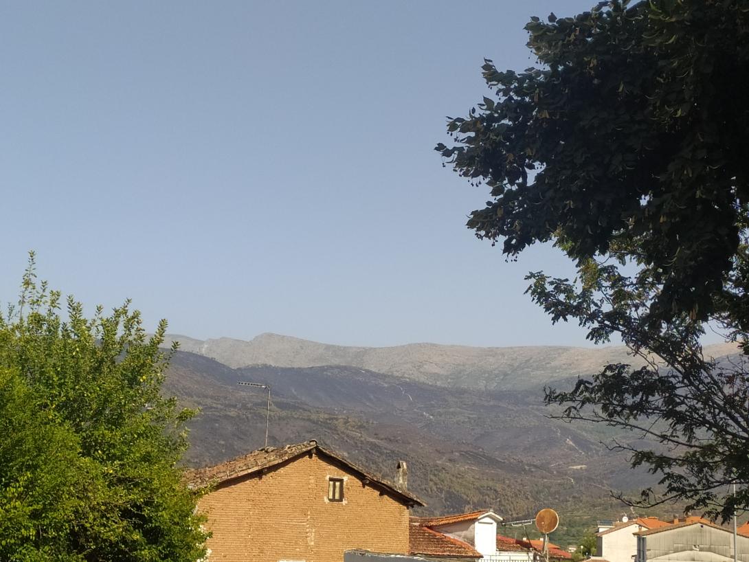 Parte de la superficie afectada por el incendio del verano 2025